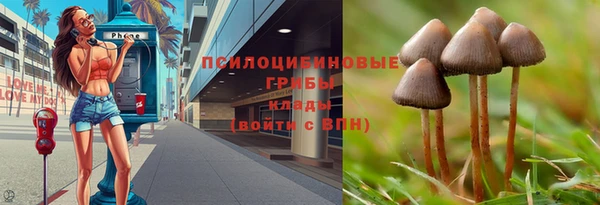 mdma Богородицк