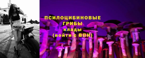 mdma Богородицк