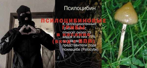 MESCALINE Богданович