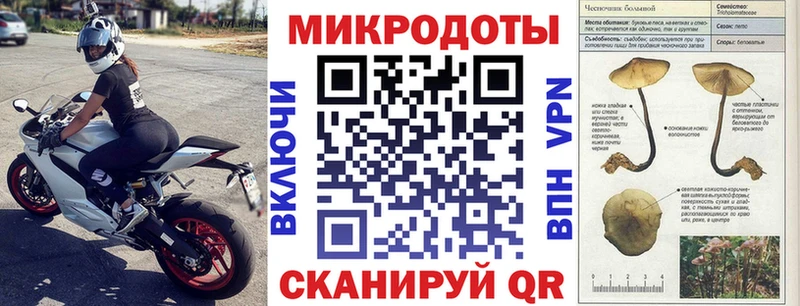 Псилоцибиновые грибы Psilocybe  Купить где  Чебоксары 